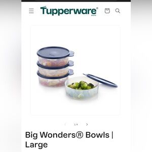 NEW!  Tupperware Big Wonders Bowls - Large
4 piece set, 2 cup capacities each